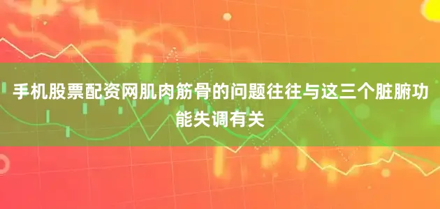 手机股票配资网肌肉筋骨的问题往往与这三个脏腑功能失调有关